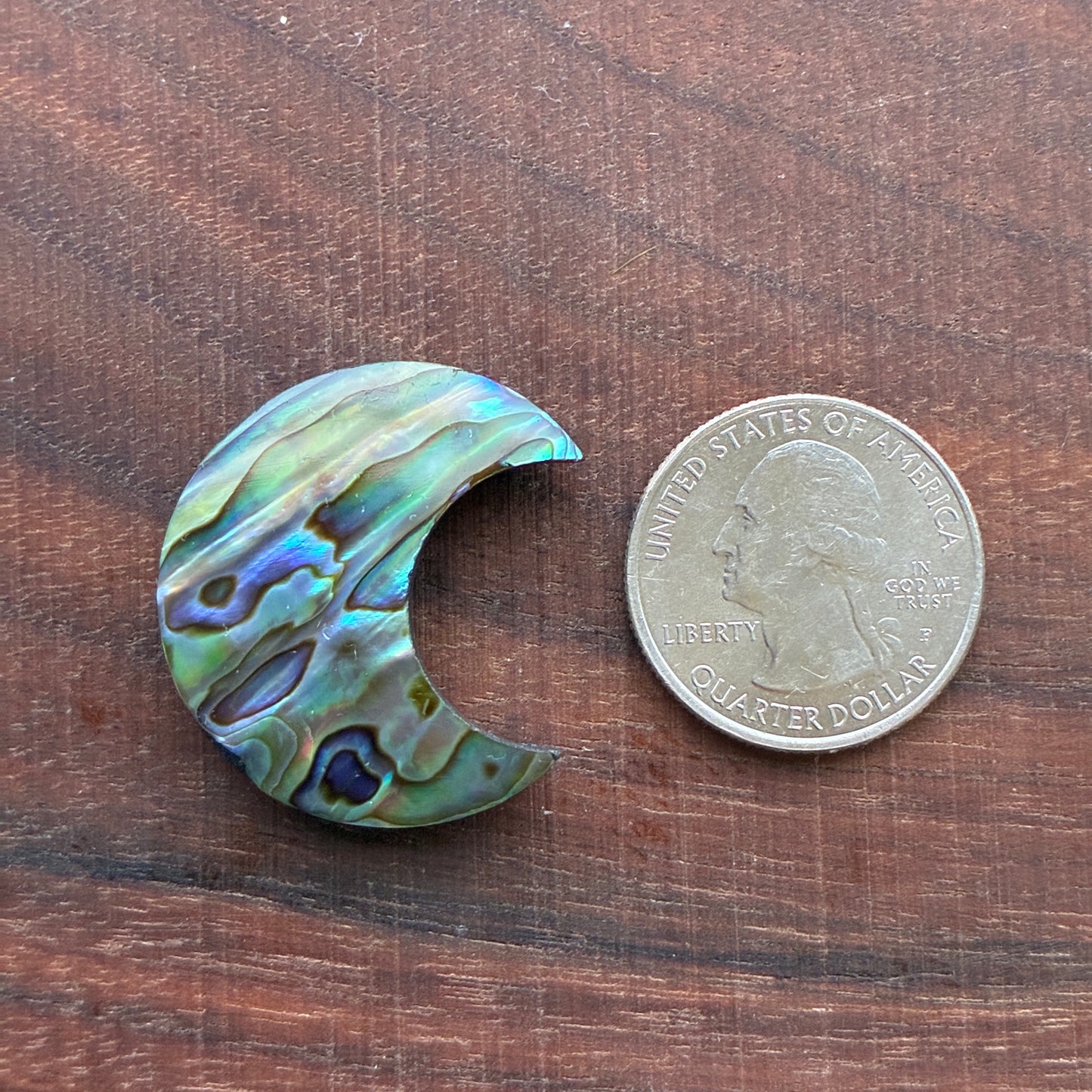 Abalone - Cabochon - Moon