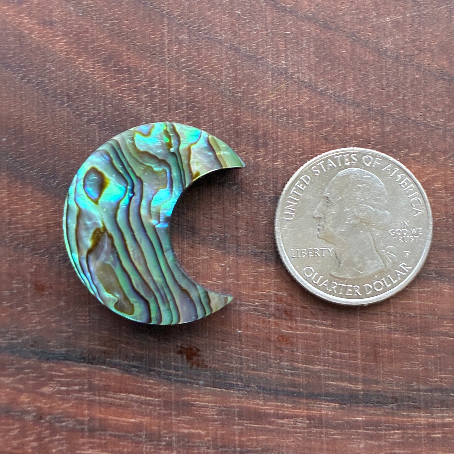 Abalone - Cabochon - Moon