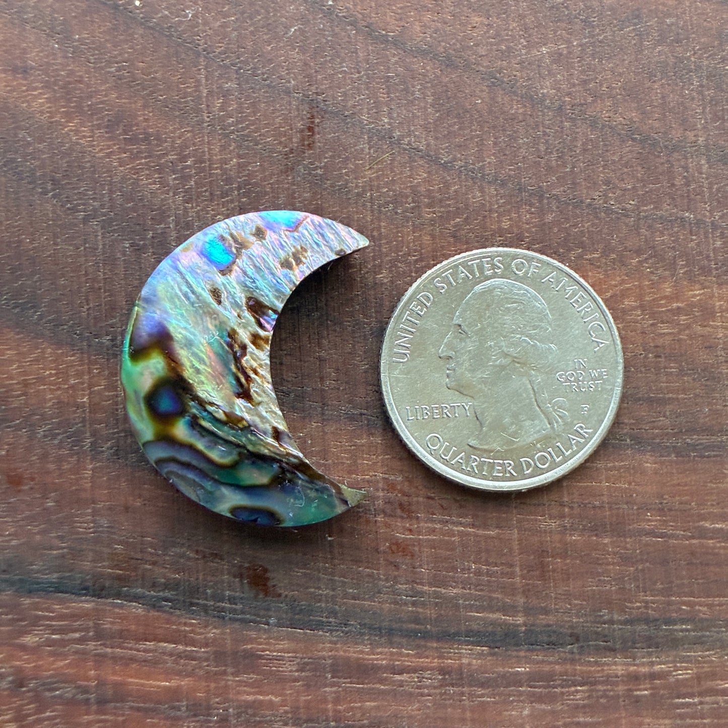 Abalone - Cabochon - Moon