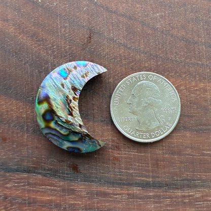 Abalone - Cabochon - Moon