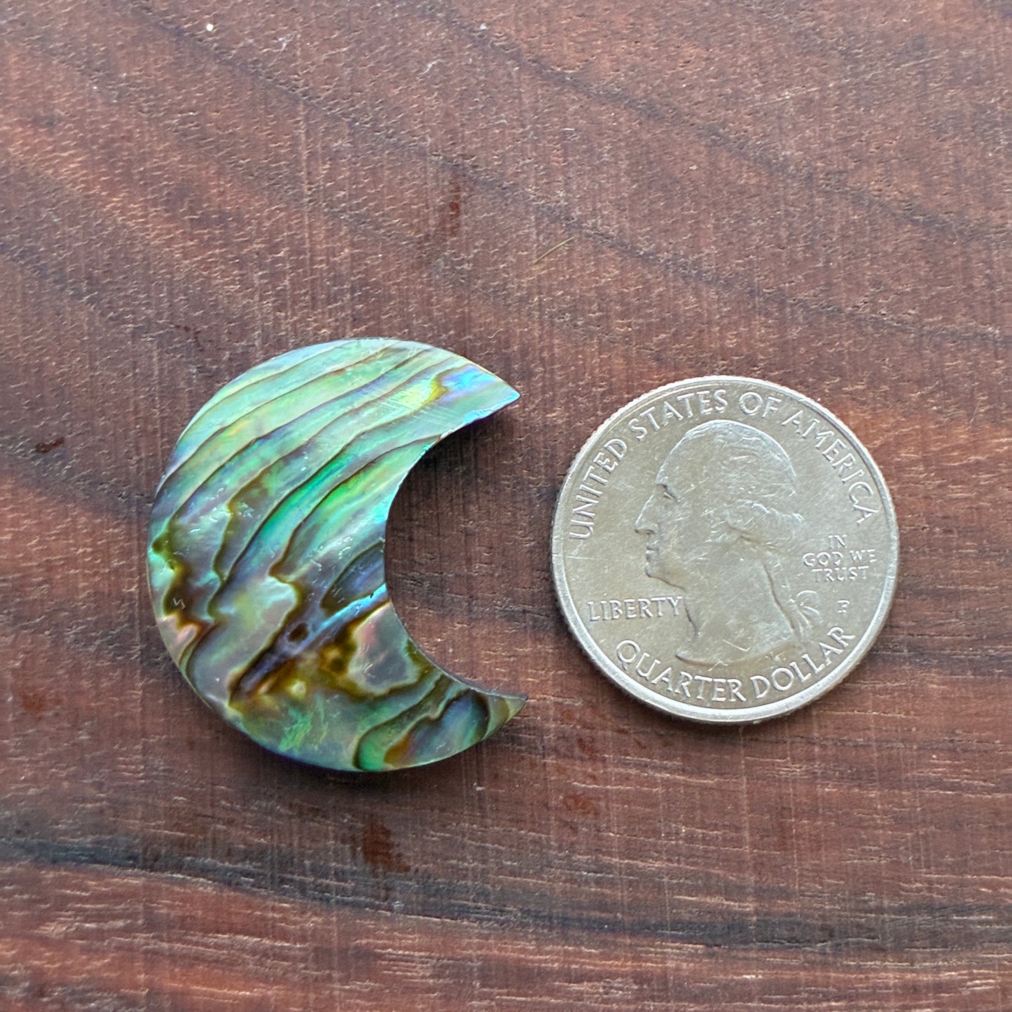 Abalone - Cabochon - Moon