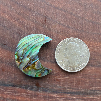 Abalone - Cabochon - Moon