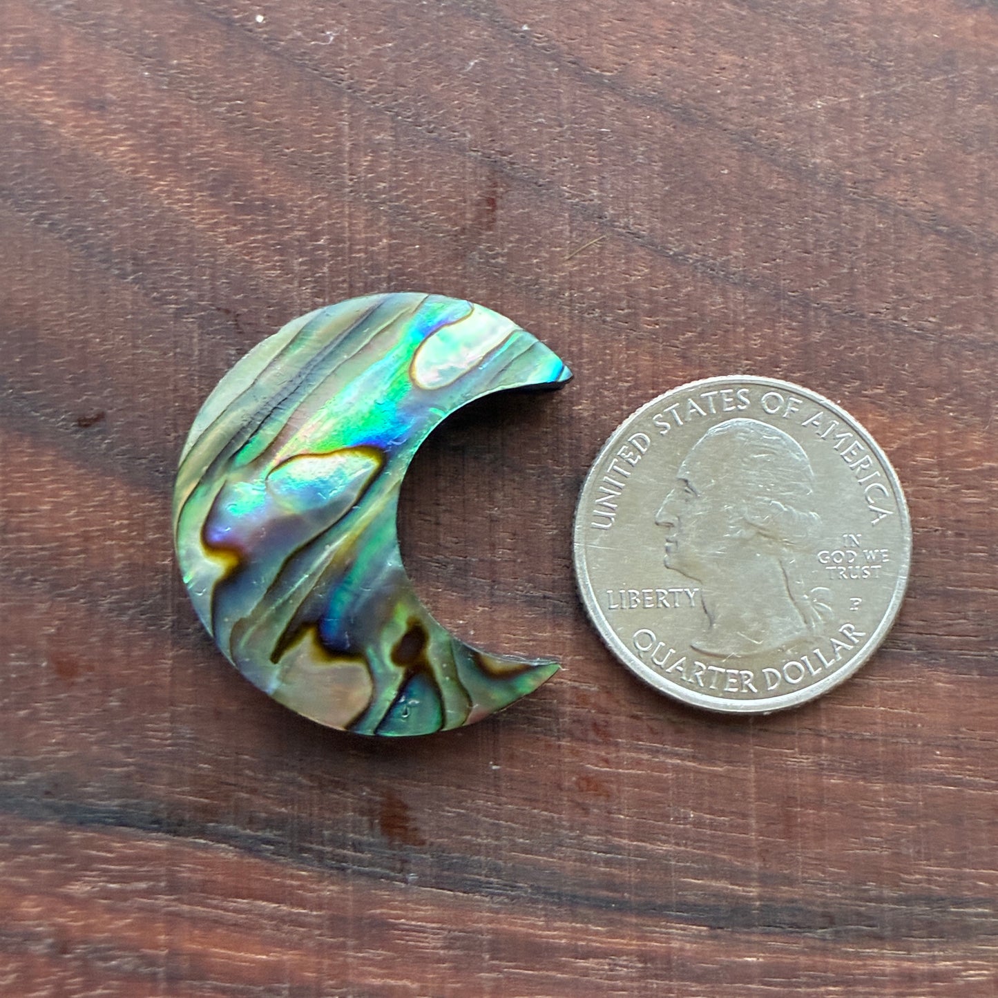 Abalone - Cabochon - Moon