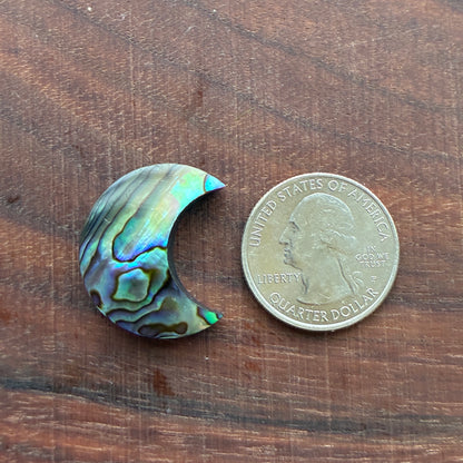 Abalone - Cabochon - Moon