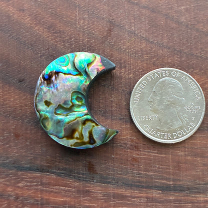 Abalone - Cabochon - Moon