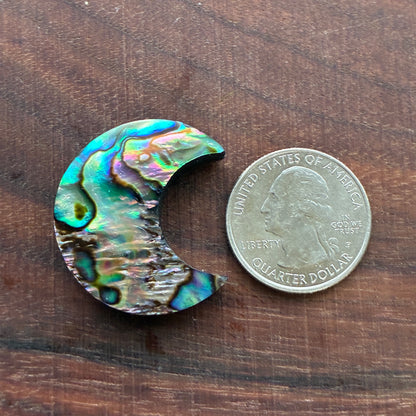 Abalone - Cabochon - Moon
