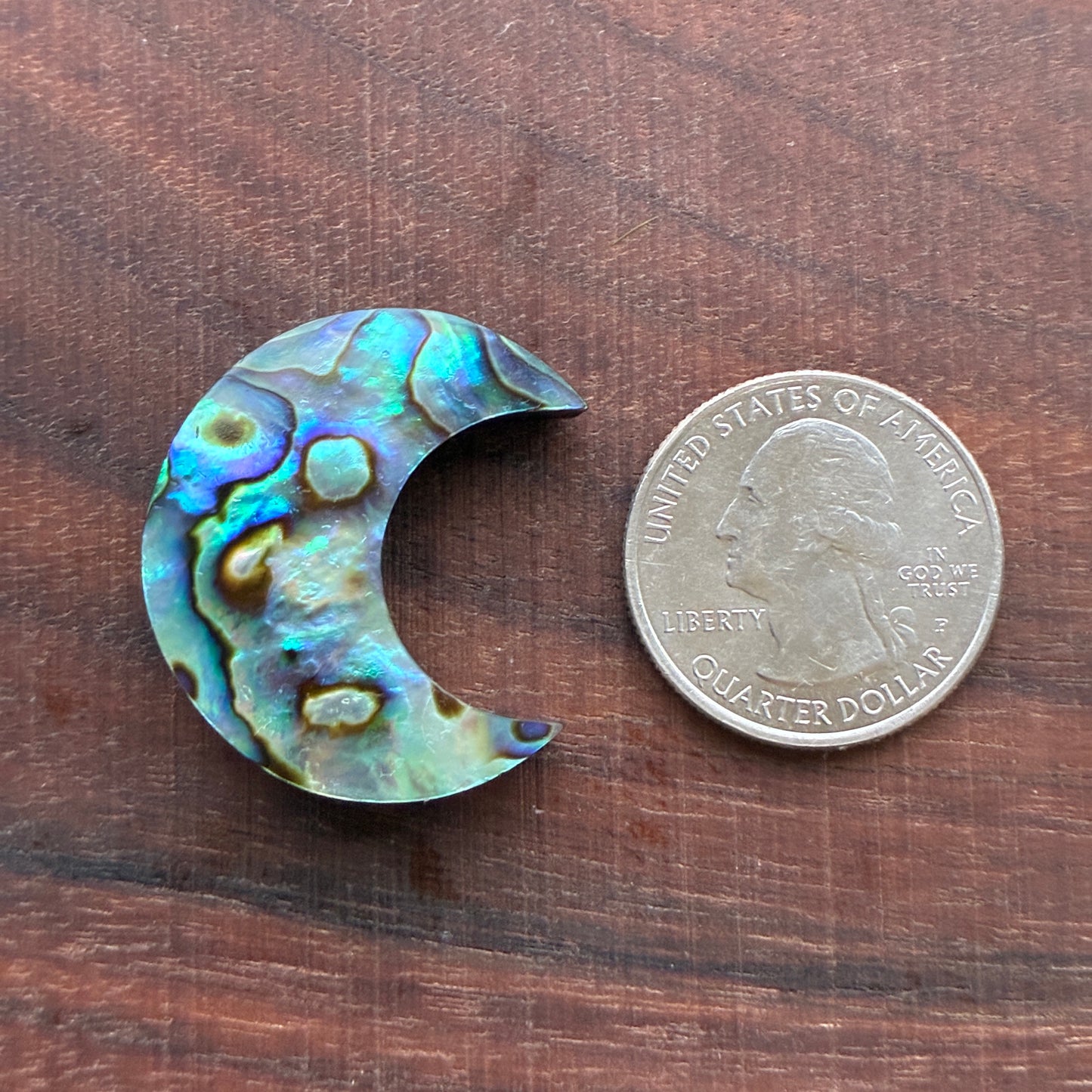 Abalone - Cabochon - Moon