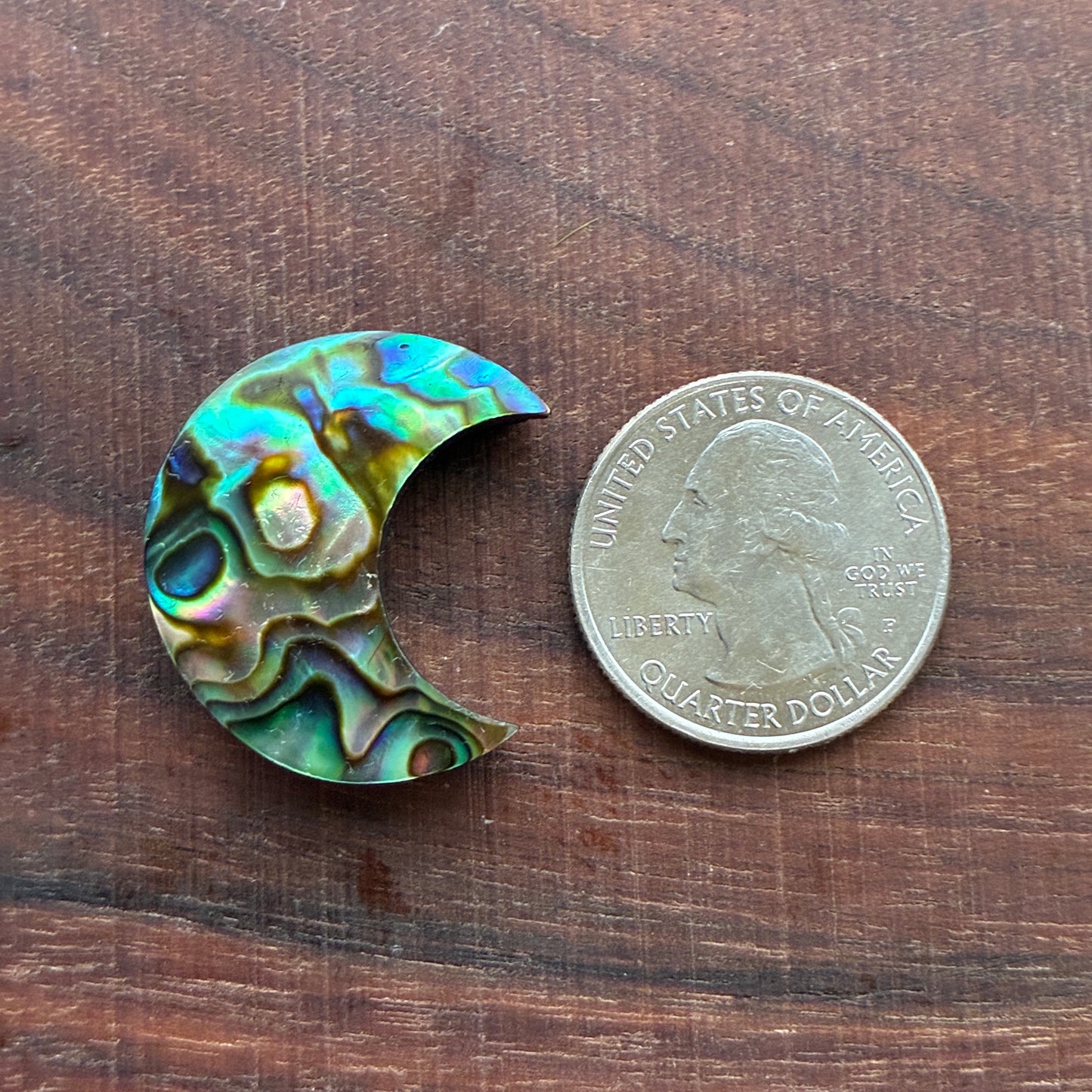 Abalone - Cabochon - Moon