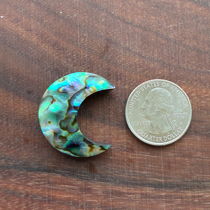Abalone - Cabochon - Moon