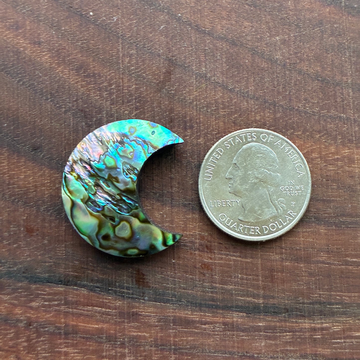 Abalone - Cabochon - Moon