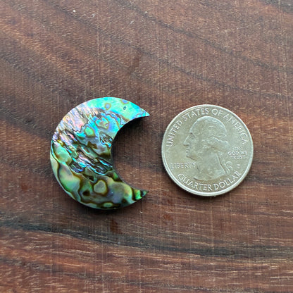 Abalone - Cabochon - Moon