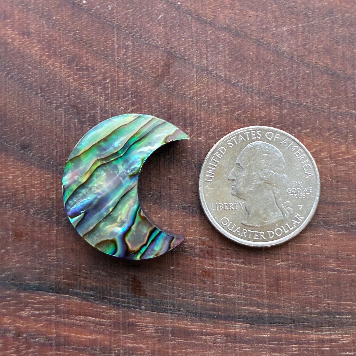 Abalone - Cabochon - Moon