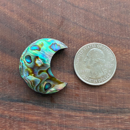 Abalone - Cabochon - Moon