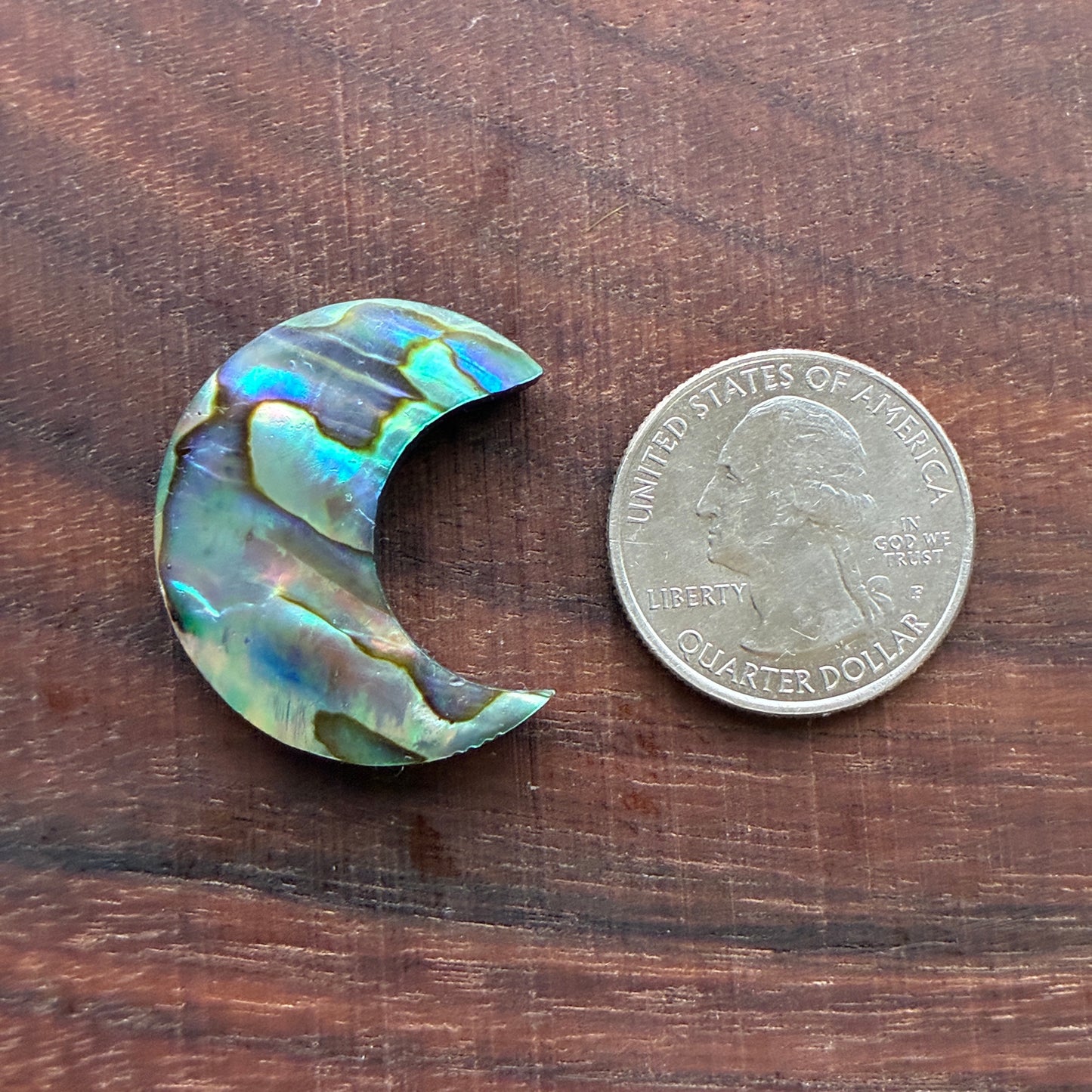 Abalone - Cabochon - Moon