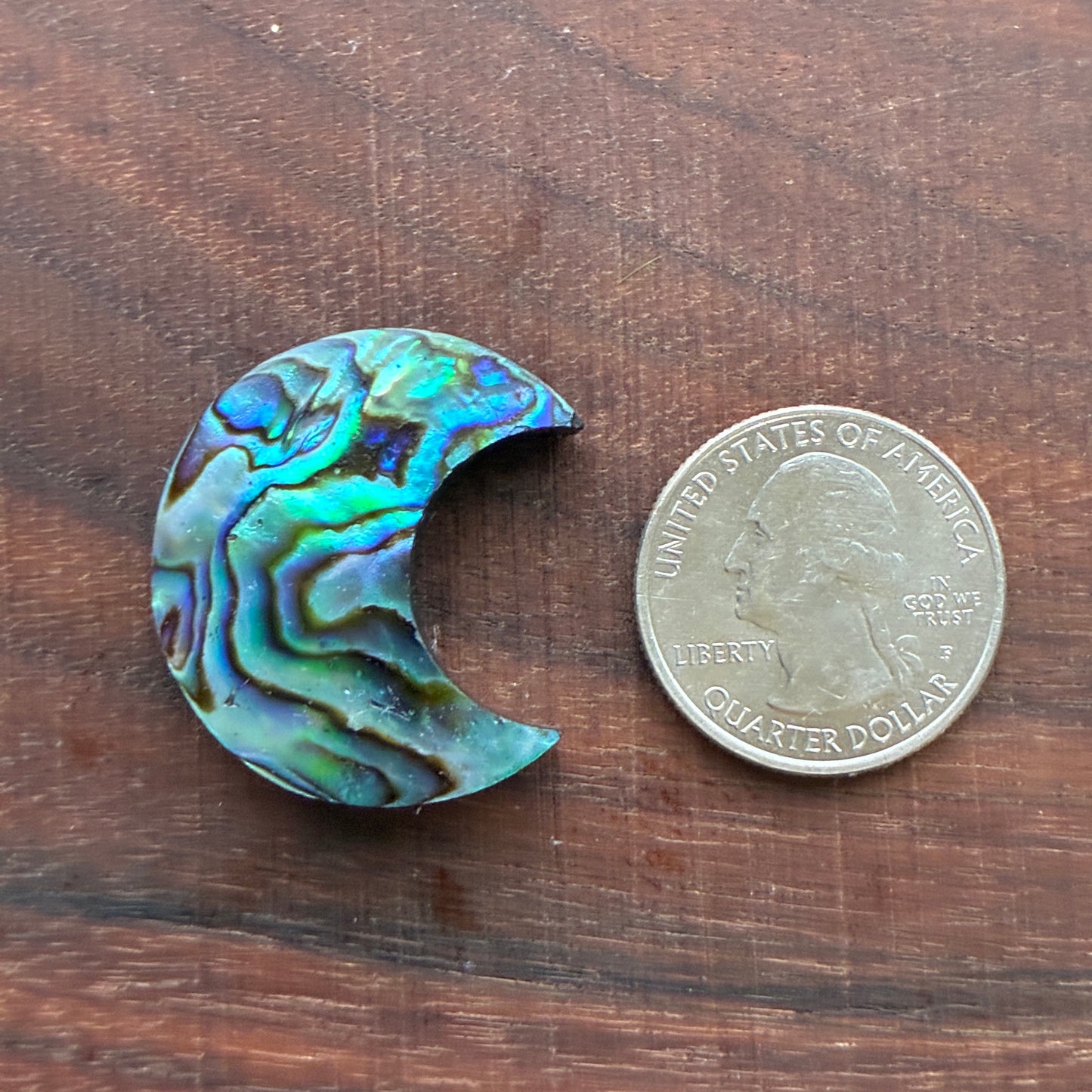 Abalone - Cabochon - Moon