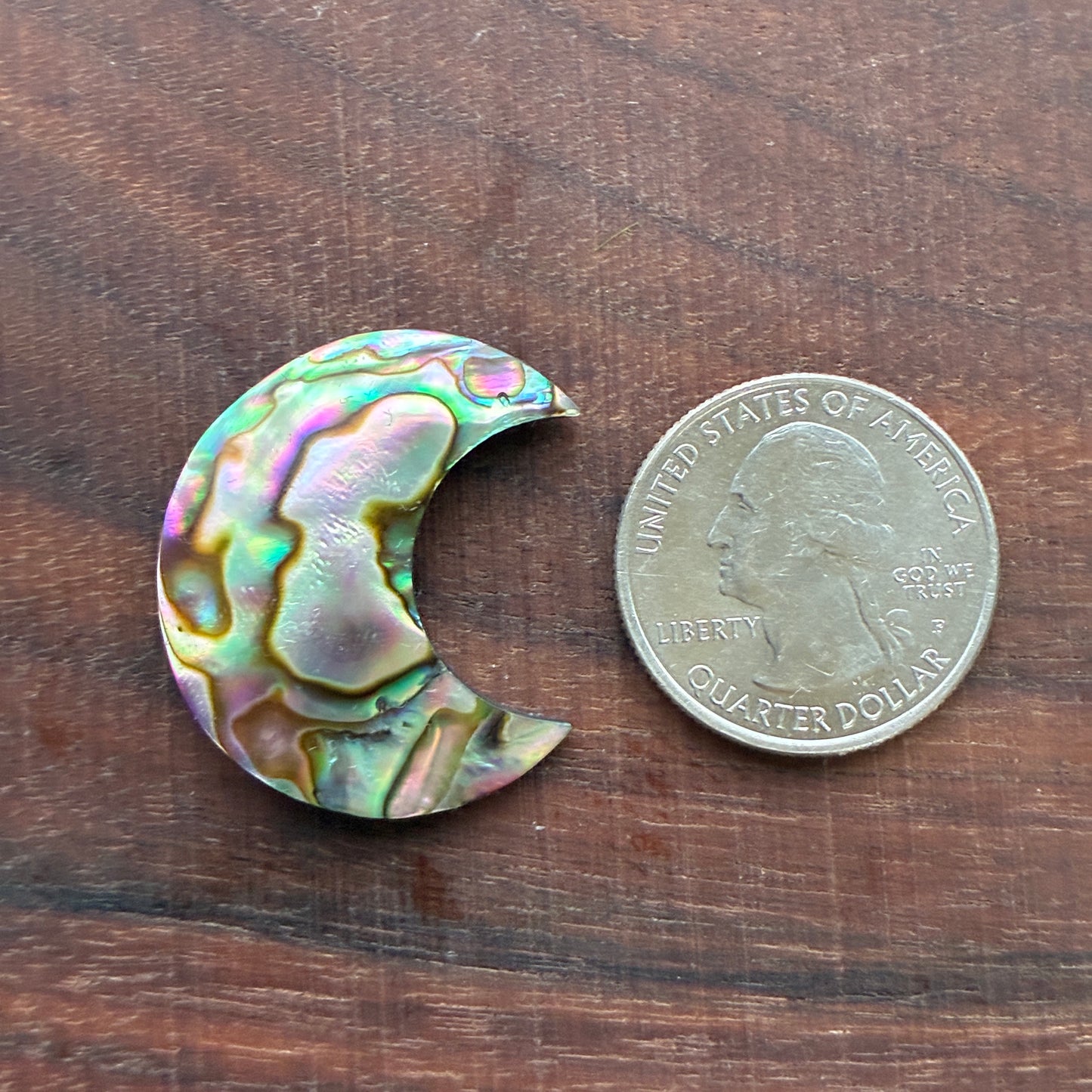 Abalone - Cabochon - Moon