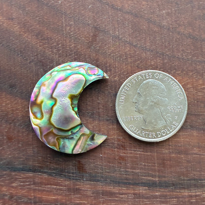 Abalone - Cabochon - Moon