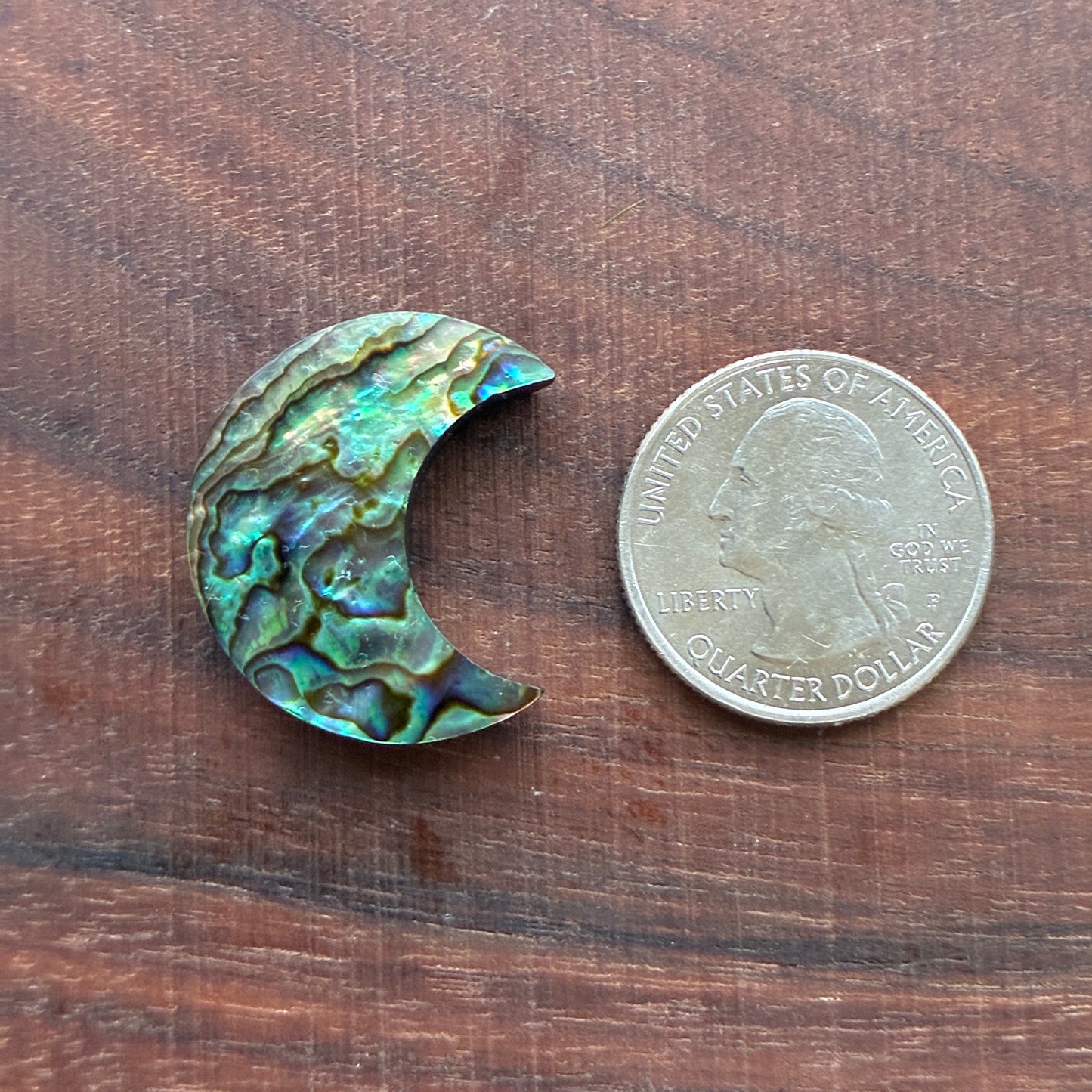 Abalone - Cabochon - Moon