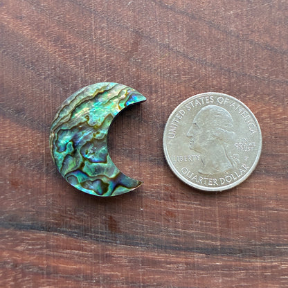 Abalone - Cabochon - Moon