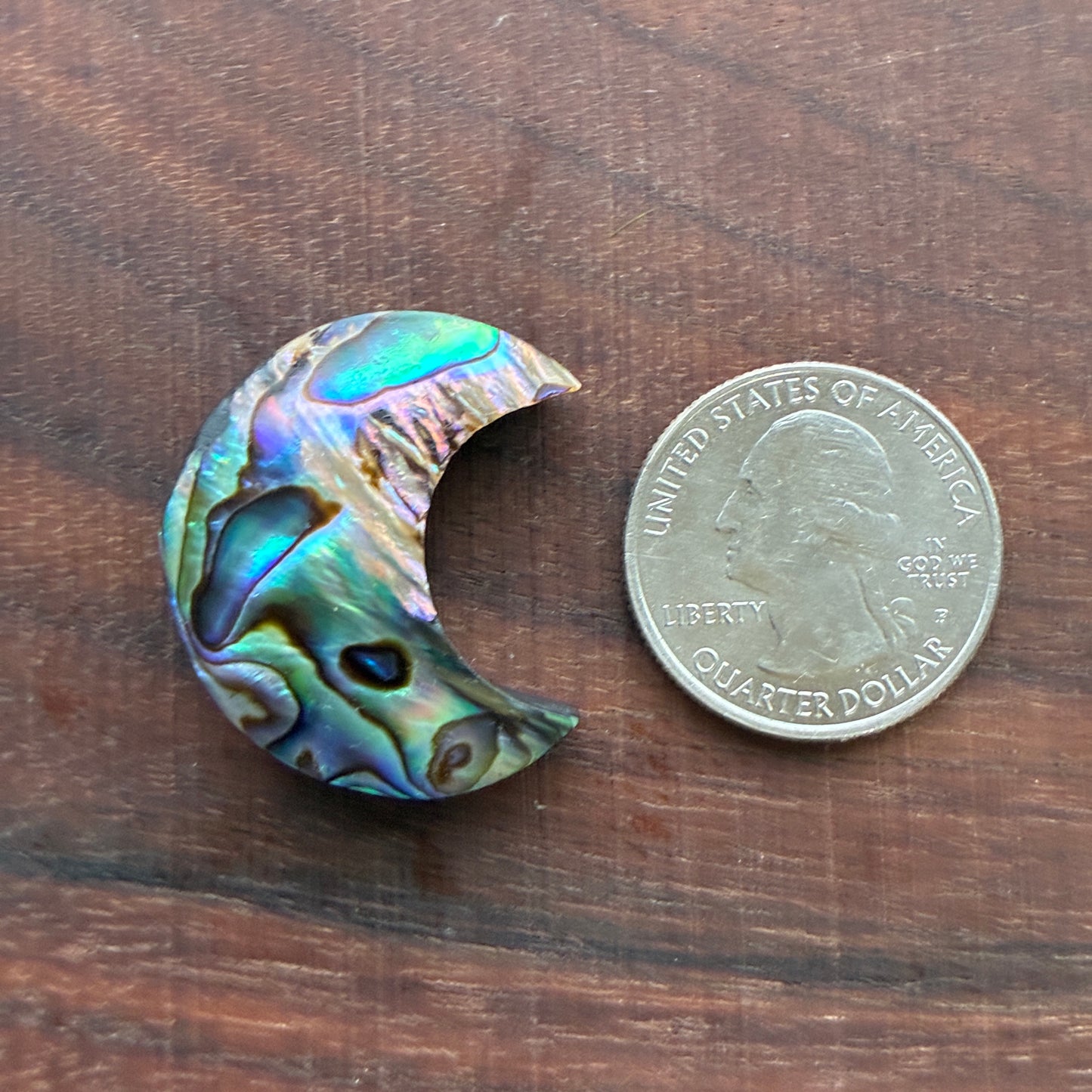 Abalone - Cabochon - Moon