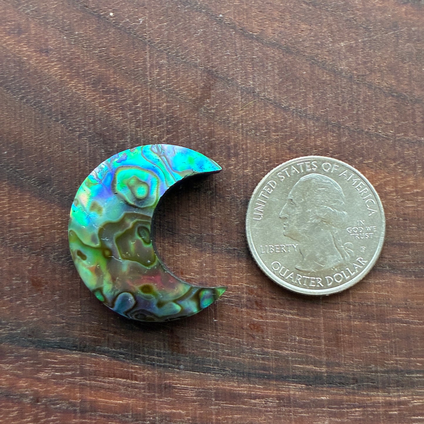Abalone - Cabochon - Moon