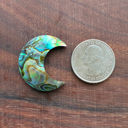 Abalone - Cabochon - Moon