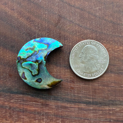 Abalone - Cabochon - Moon