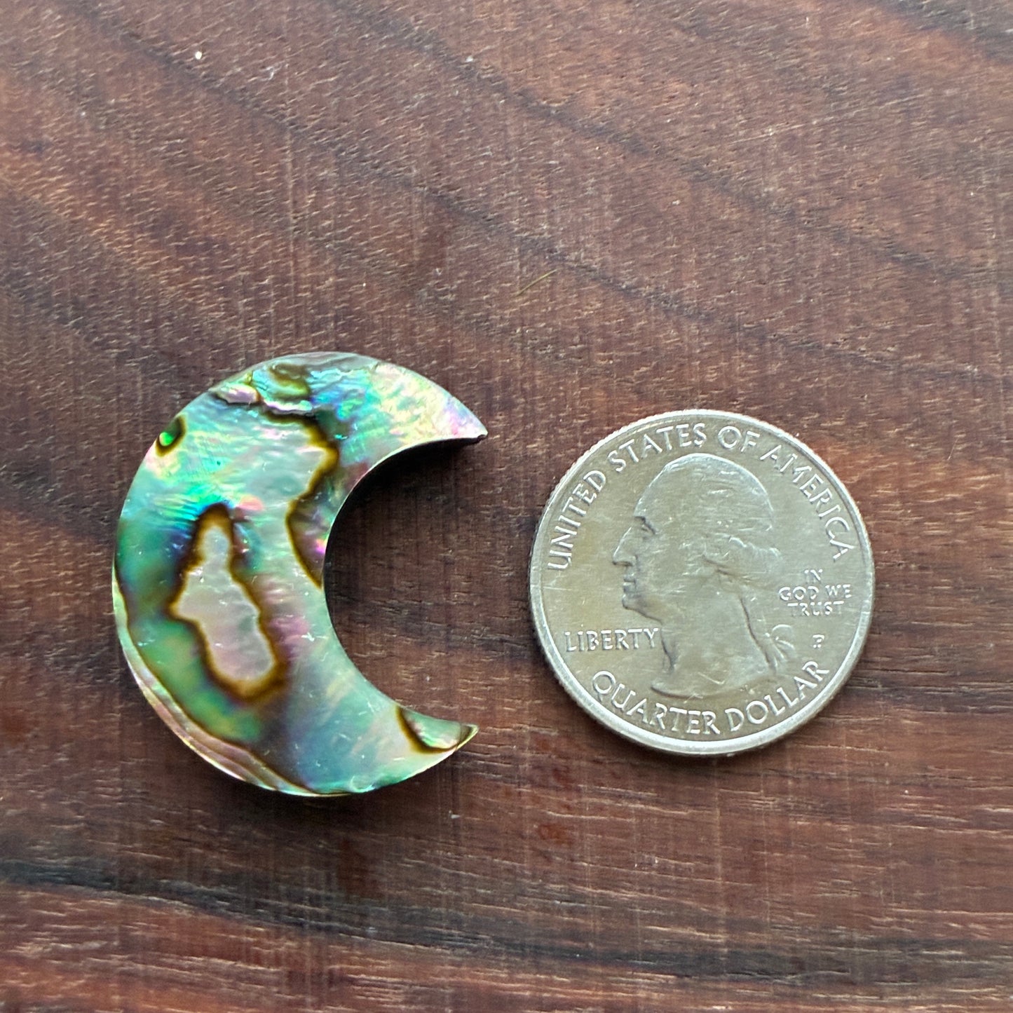 Abalone - Cabochon - Moon