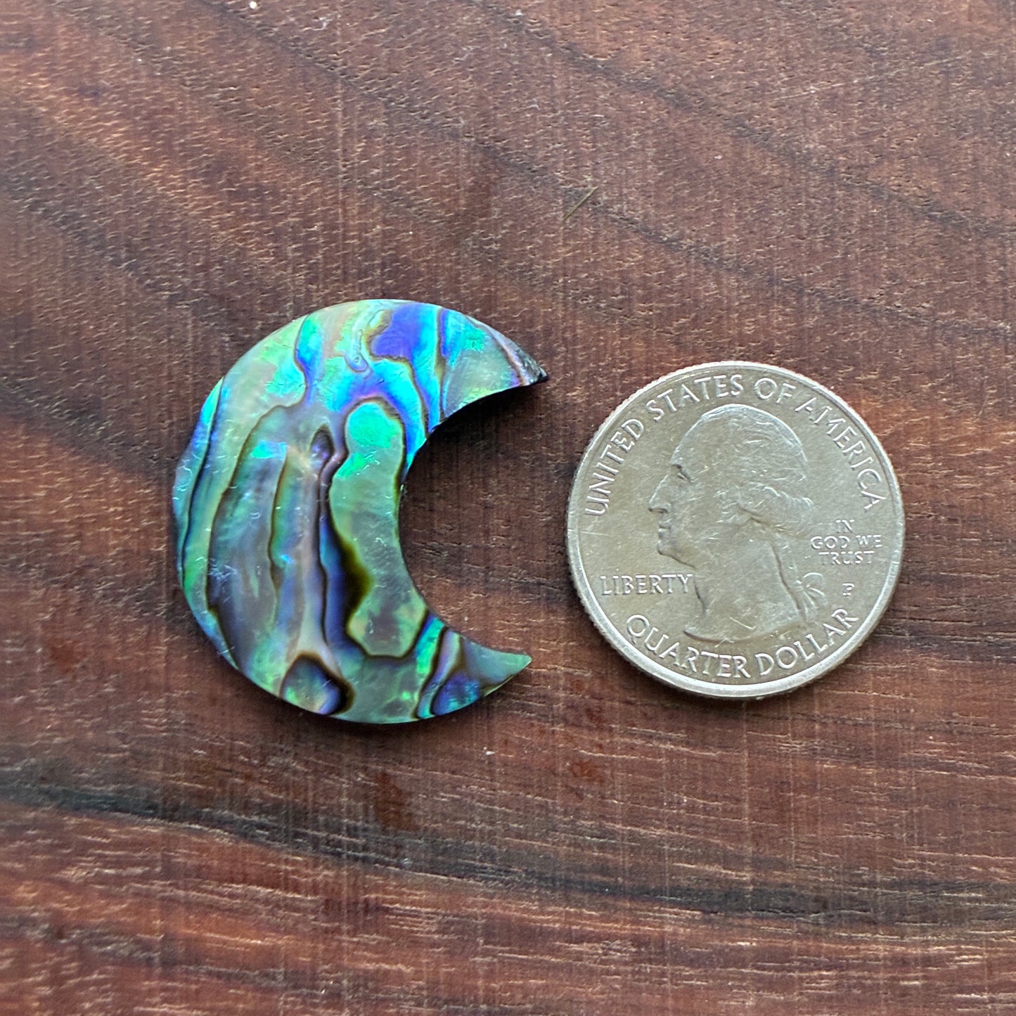 Abalone - Cabochon - Moon