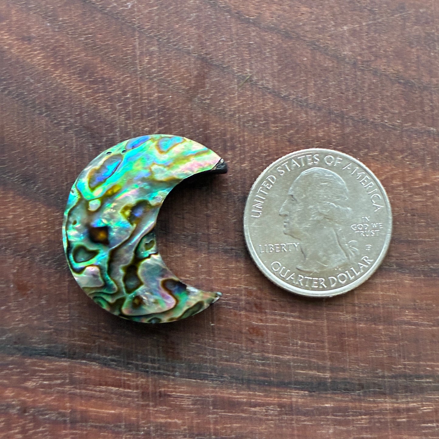 Abalone - Cabochon - Moon