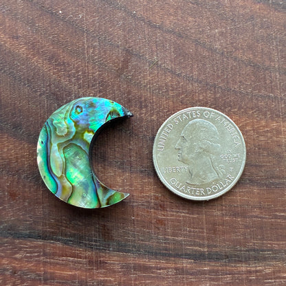 Abalone - Cabochon - Moon