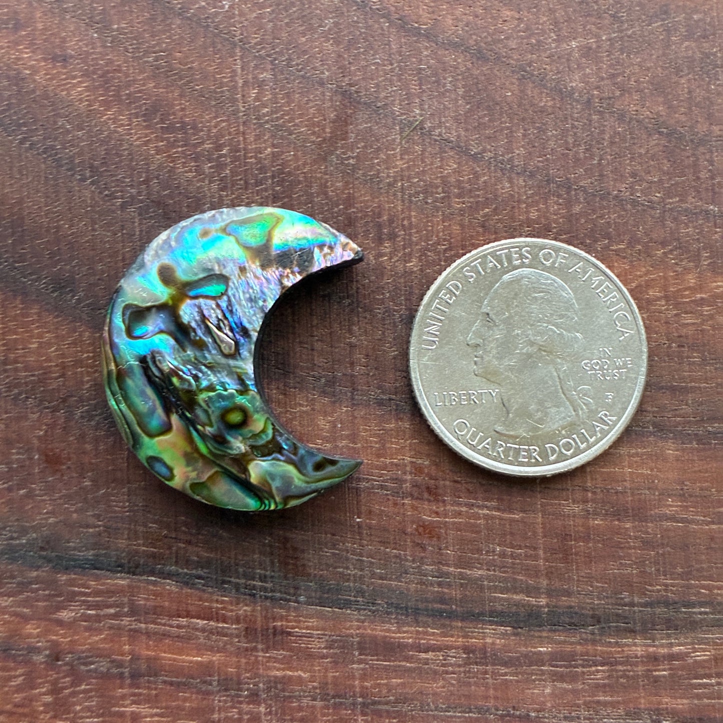 Abalone - Cabochon - Moon