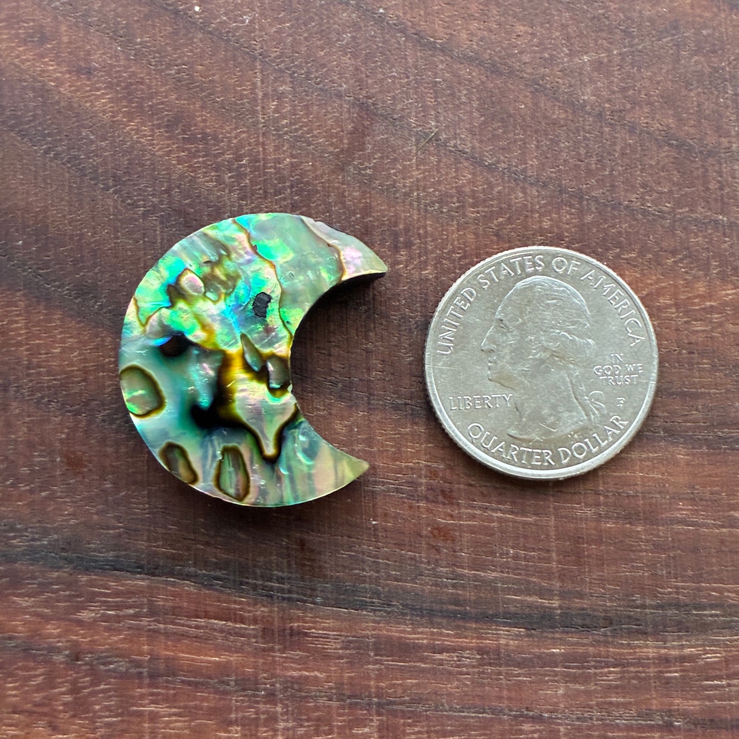 Abalone - Cabochon - Moon