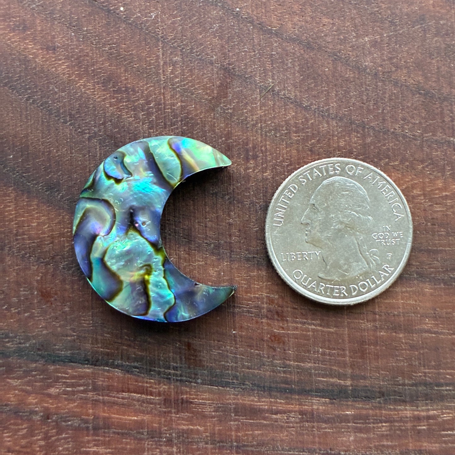 Abalone - Cabochon - Moon