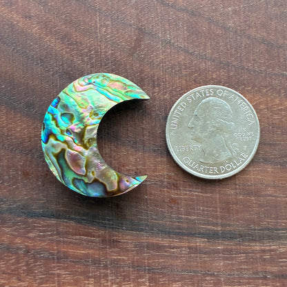 Abalone - Cabochon - Moon