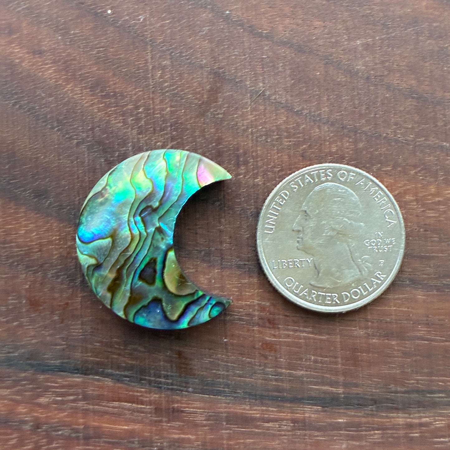 Abalone - Cabochon - Moon