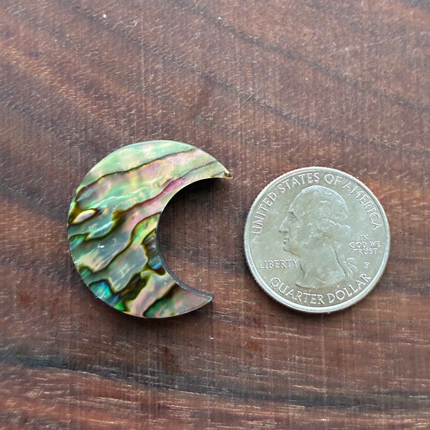 Abalone - Cabochon - Moon