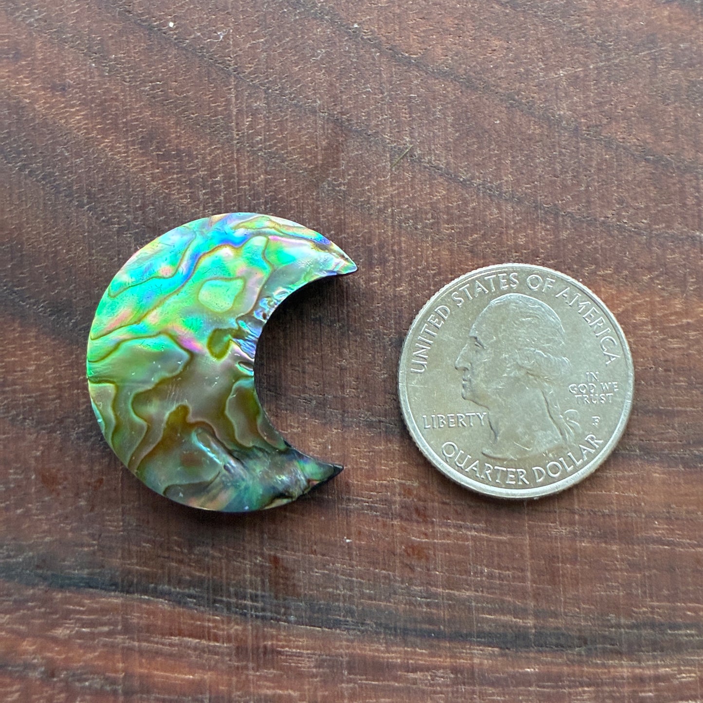 Abalone - Cabochon - Moon