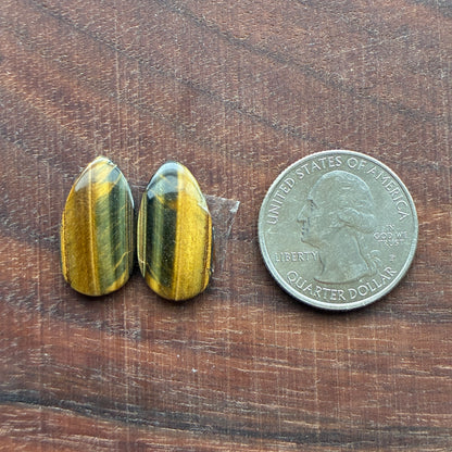 Cabochon Pair - Tiger eye - Oval - Teardrop