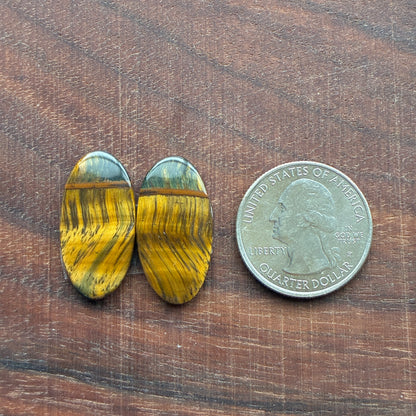 Cabochon Pair - Tiger eye - Oval - Teardrop
