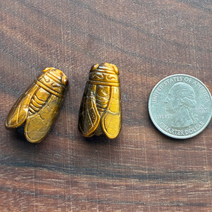 Tiger eye Carving - Flower - Cicada - Fox