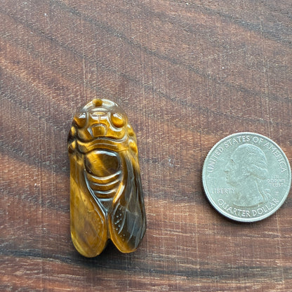 Tiger eye Carving - Flower - Cicada - Fox