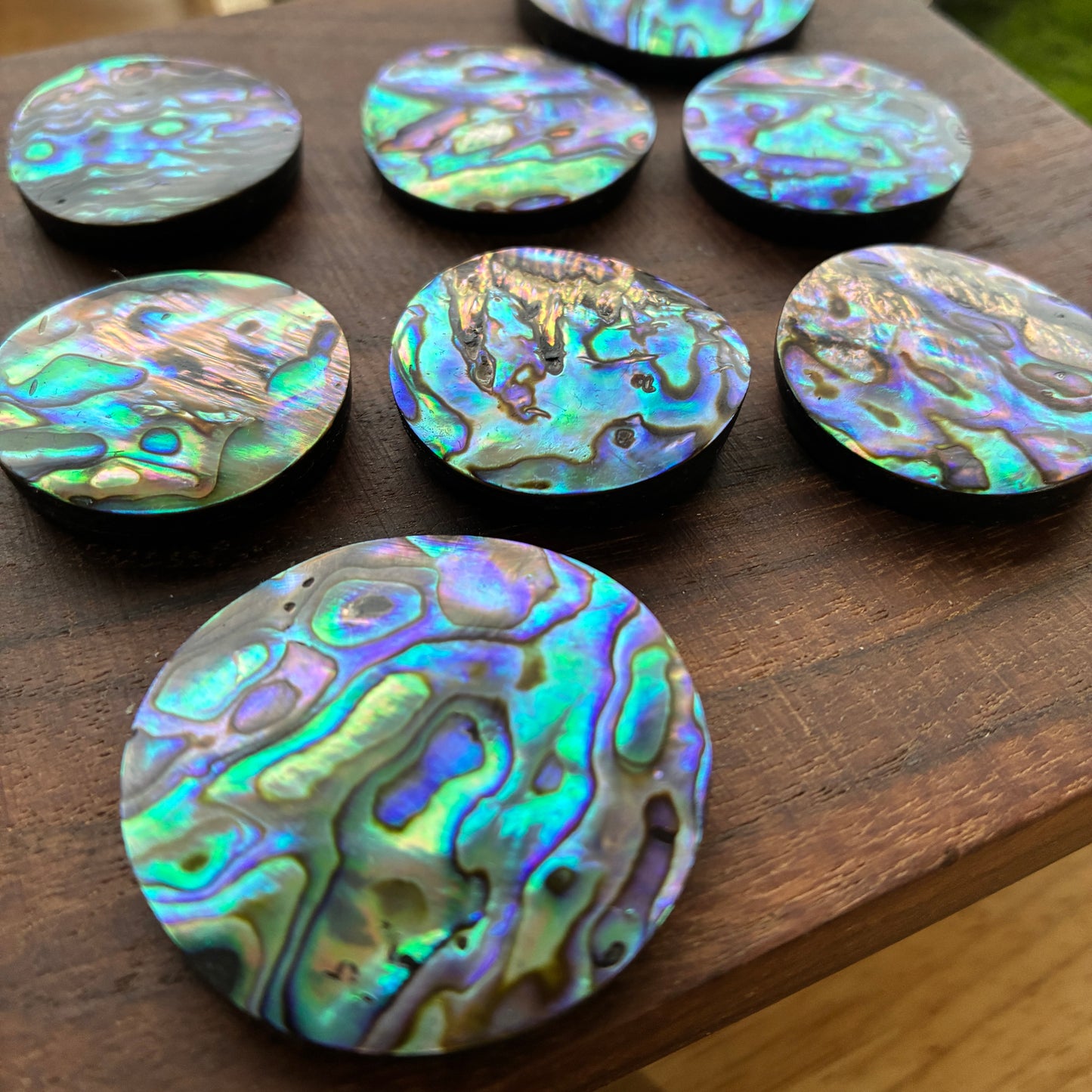 Abalone Cabochon - Round - Flatback