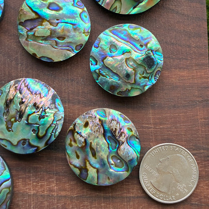 Abalone Cabochon - Round - Flatback