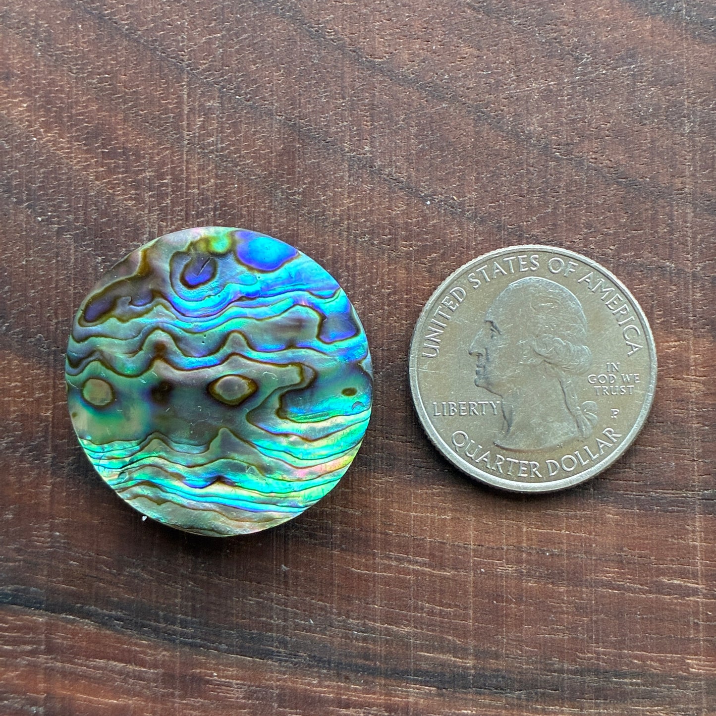 Abalone Cabochon - Round - Flatback