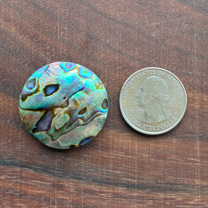 Abalone Cabochon - Round - Flatback