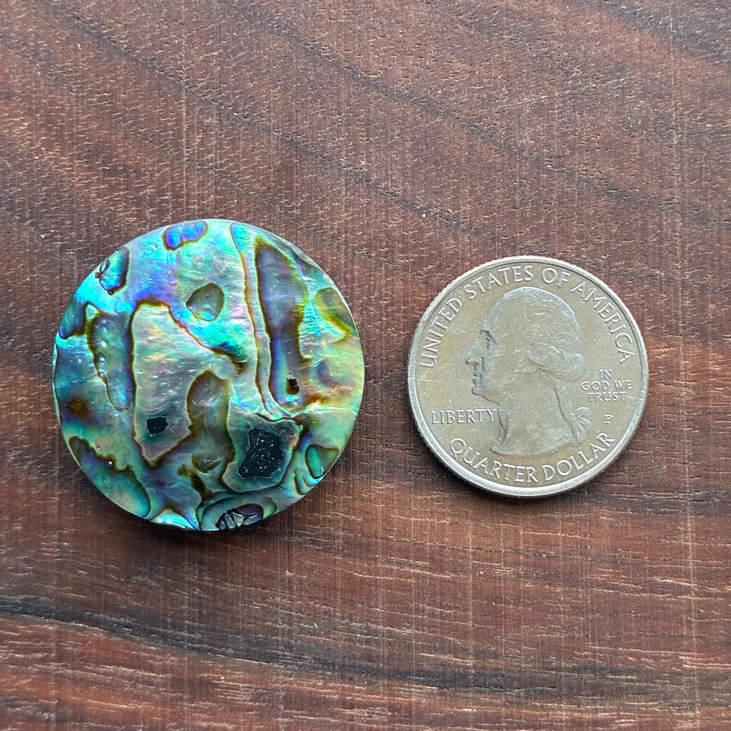 Abalone Cabochon - Round - Flatback