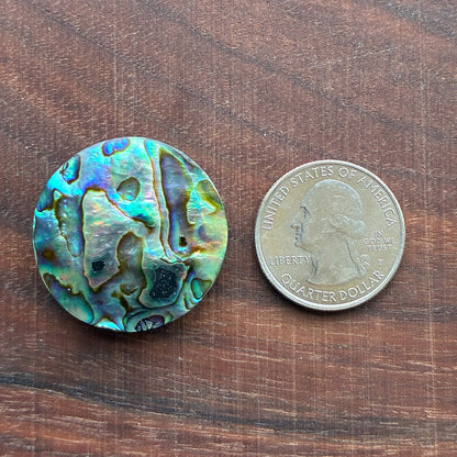 Abalone Cabochon - Round - Flatback