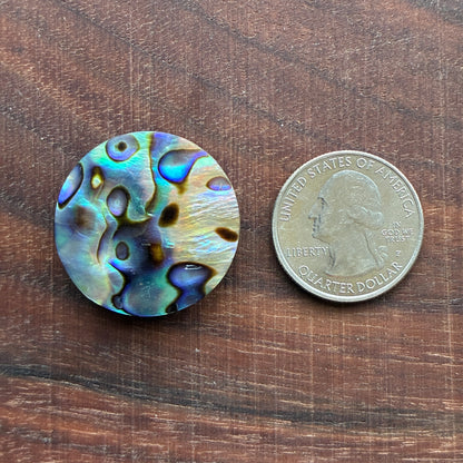 Abalone Cabochon - Round - Flatback