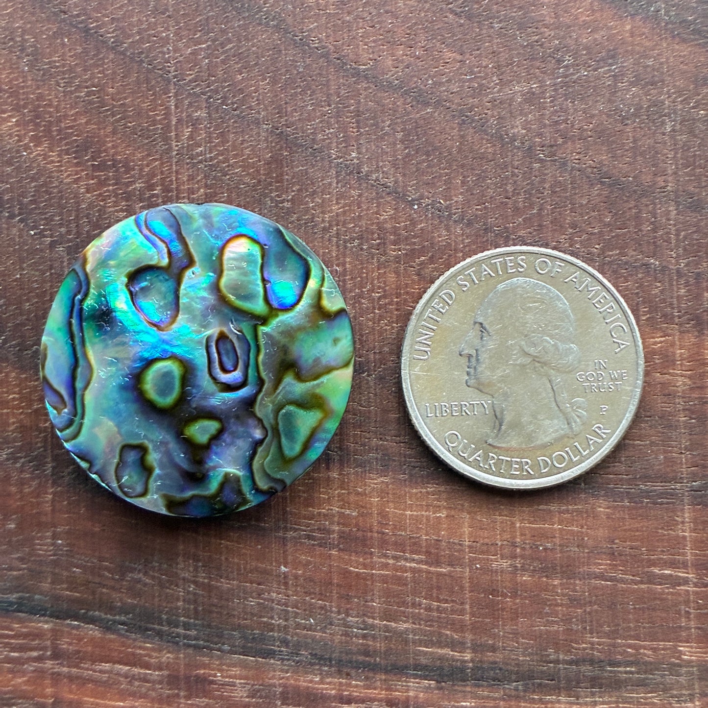 Abalone Cabochon - Round - Flatback